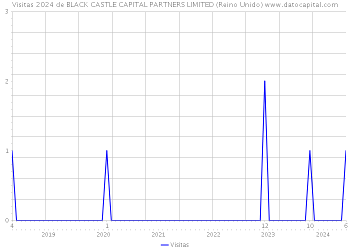 Visitas 2024 de BLACK CASTLE CAPITAL PARTNERS LIMITED (Reino Unido) 