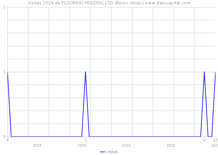 Visitas 2024 de FLOORING HOLDING LTD (Reino Unido) 