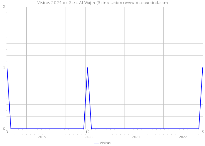 Visitas 2024 de Sara Al Wajih (Reino Unido) 