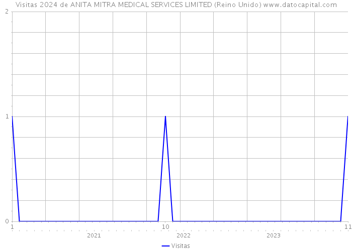 Visitas 2024 de ANITA MITRA MEDICAL SERVICES LIMITED (Reino Unido) 