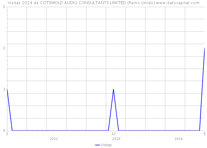 Visitas 2024 de COTSWOLD AUDIO CONSULTANTS LIMITED (Reino Unido) 