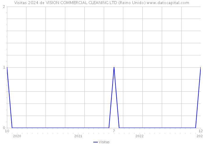 Visitas 2024 de VISION COMMERCIAL CLEANING LTD (Reino Unido) 