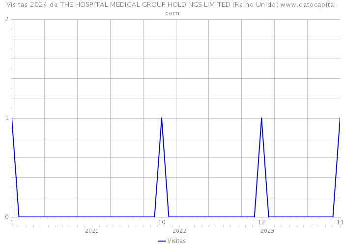 Visitas 2024 de THE HOSPITAL MEDICAL GROUP HOLDINGS LIMITED (Reino Unido) 