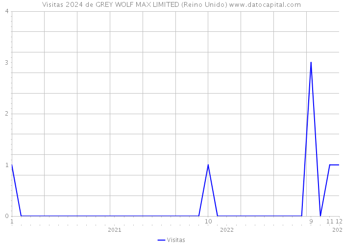 Visitas 2024 de GREY WOLF MAX LIMITED (Reino Unido) 