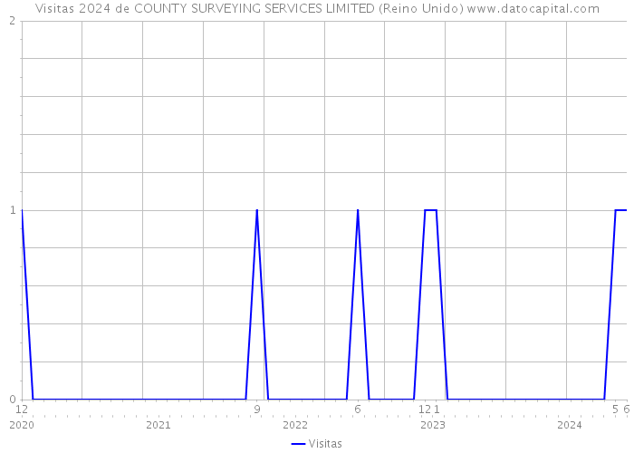 Visitas 2024 de COUNTY SURVEYING SERVICES LIMITED (Reino Unido) 