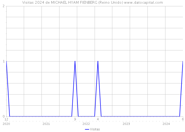 Visitas 2024 de MICHAEL HYAM FIENBERG (Reino Unido) 