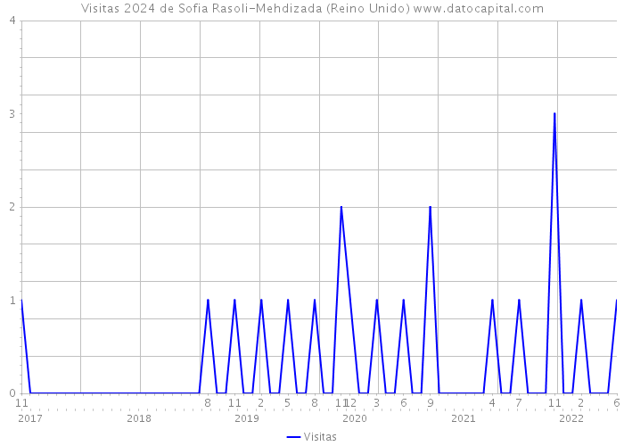 Visitas 2024 de Sofia Rasoli-Mehdizada (Reino Unido) 