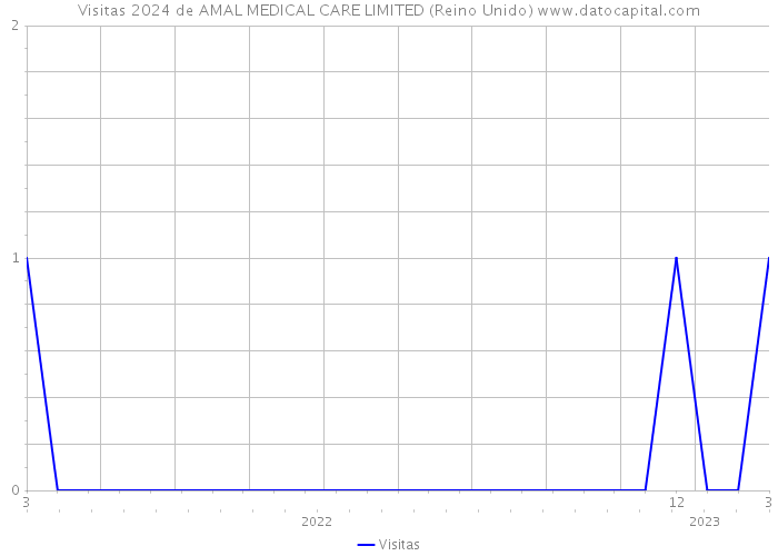 Visitas 2024 de AMAL MEDICAL CARE LIMITED (Reino Unido) 