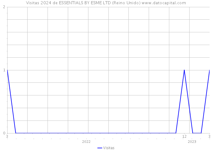 Visitas 2024 de ESSENTIALS BY ESME LTD (Reino Unido) 