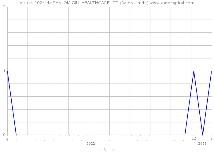 Visitas 2024 de SHALOM GILL HEALTHCARE LTD (Reino Unido) 