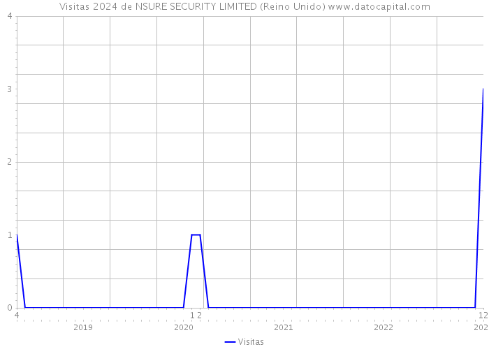 Visitas 2024 de NSURE SECURITY LIMITED (Reino Unido) 