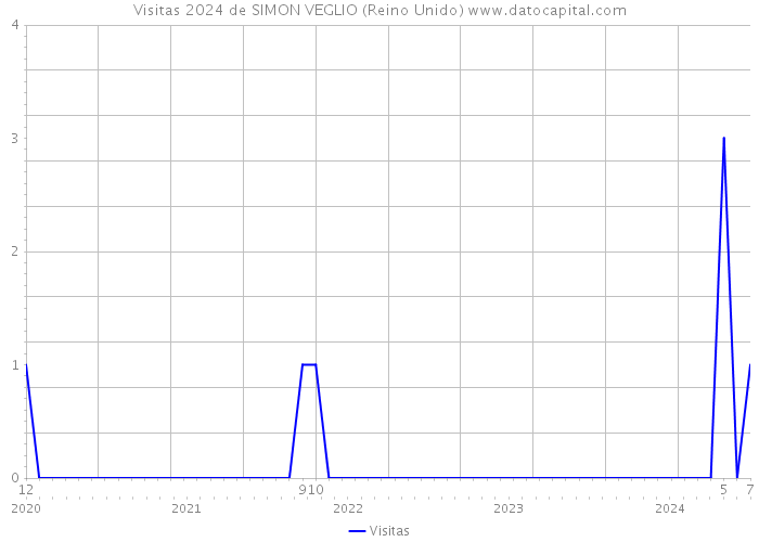 Visitas 2024 de SIMON VEGLIO (Reino Unido) 