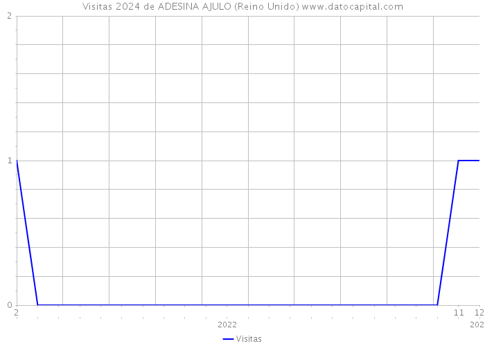 Visitas 2024 de ADESINA AJULO (Reino Unido) 