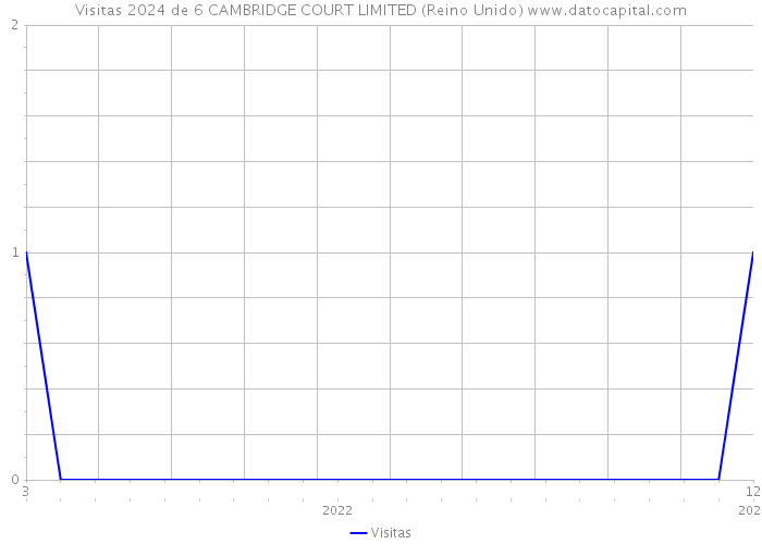 Visitas 2024 de 6 CAMBRIDGE COURT LIMITED (Reino Unido) 