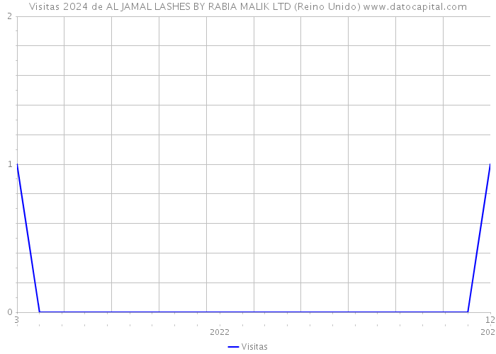 Visitas 2024 de AL JAMAL LASHES BY RABIA MALIK LTD (Reino Unido) 
