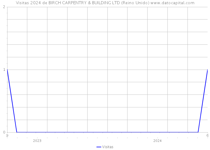 Visitas 2024 de BIRCH CARPENTRY & BUILDING LTD (Reino Unido) 