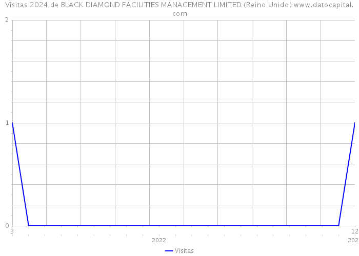 Visitas 2024 de BLACK DIAMOND FACILITIES MANAGEMENT LIMITED (Reino Unido) 