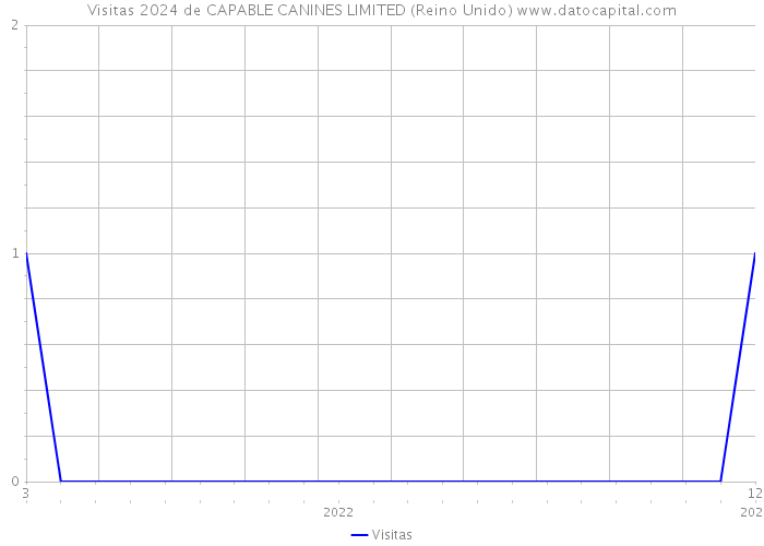 Visitas 2024 de CAPABLE CANINES LIMITED (Reino Unido) 