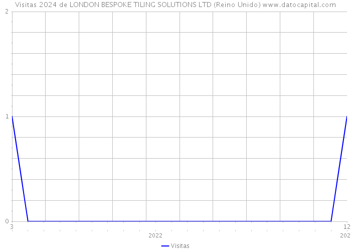 Visitas 2024 de LONDON BESPOKE TILING SOLUTIONS LTD (Reino Unido) 