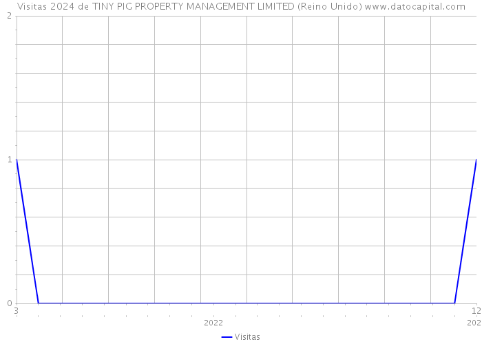 Visitas 2024 de TINY PIG PROPERTY MANAGEMENT LIMITED (Reino Unido) 