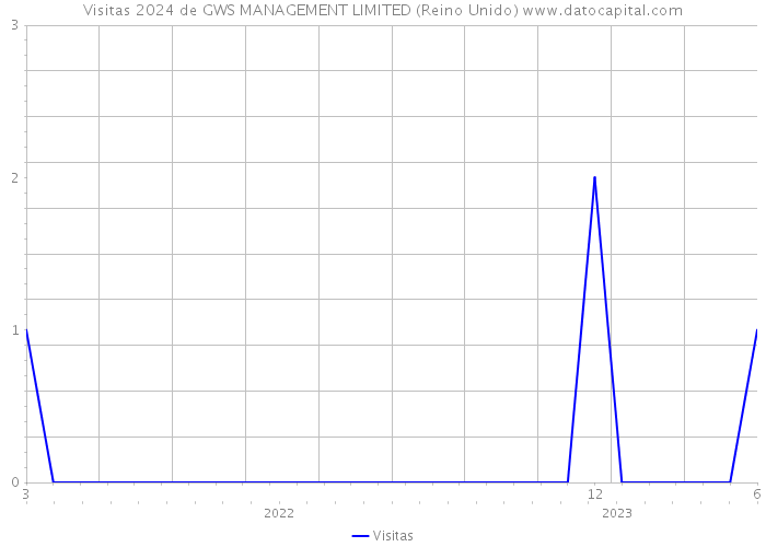 Visitas 2024 de GWS MANAGEMENT LIMITED (Reino Unido) 