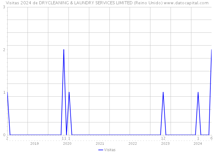 Visitas 2024 de DRYCLEANING & LAUNDRY SERVICES LIMITED (Reino Unido) 