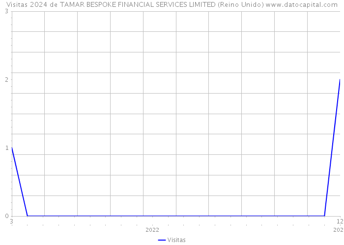 Visitas 2024 de TAMAR BESPOKE FINANCIAL SERVICES LIMITED (Reino Unido) 