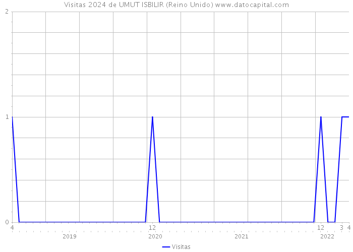 Visitas 2024 de UMUT ISBILIR (Reino Unido) 