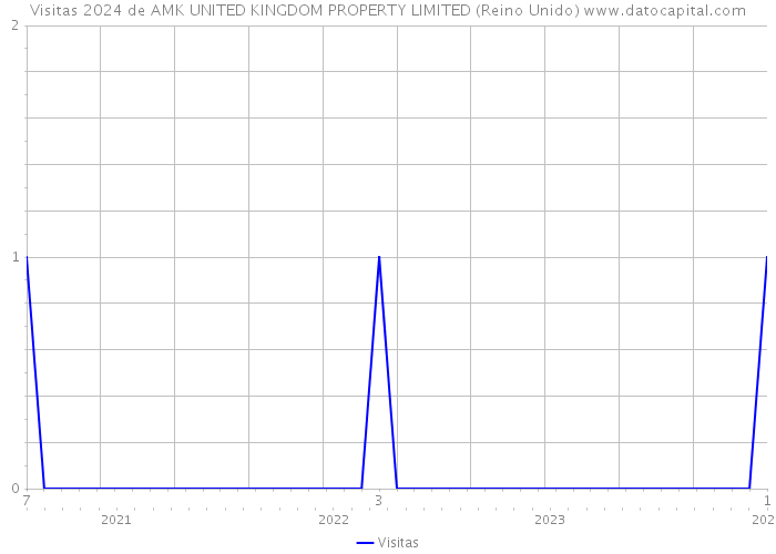 Visitas 2024 de AMK UNITED KINGDOM PROPERTY LIMITED (Reino Unido) 