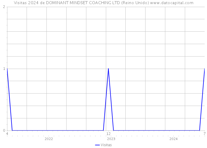 Visitas 2024 de DOMINANT MINDSET COACHING LTD (Reino Unido) 