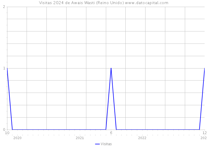 Visitas 2024 de Awais Wasti (Reino Unido) 