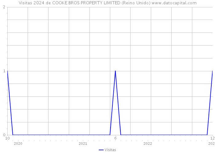 Visitas 2024 de COOKE BROS PROPERTY LIMITED (Reino Unido) 