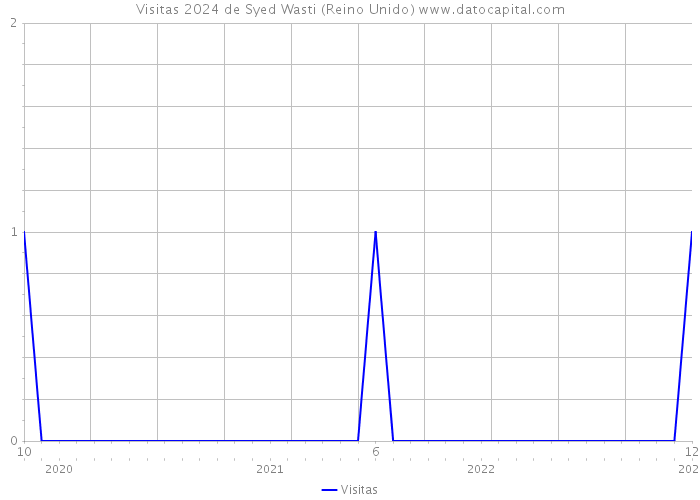 Visitas 2024 de Syed Wasti (Reino Unido) 