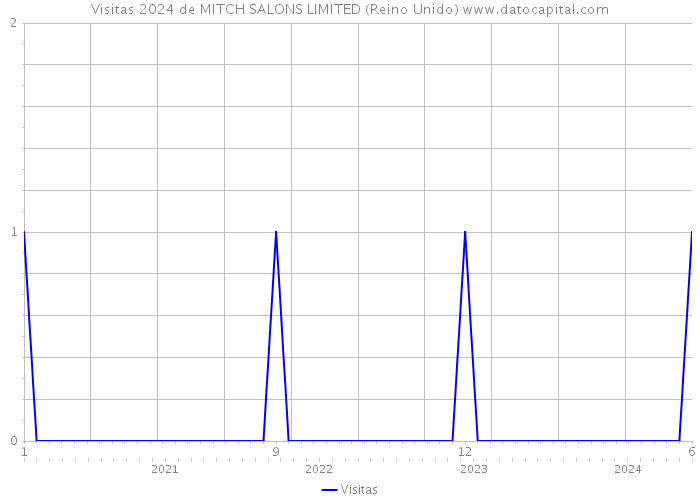 Visitas 2024 de MITCH SALONS LIMITED (Reino Unido) 