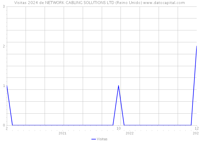 Visitas 2024 de NETWORK CABLING SOLUTIONS LTD (Reino Unido) 