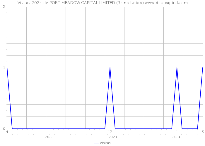 Visitas 2024 de PORT MEADOW CAPITAL LIMITED (Reino Unido) 