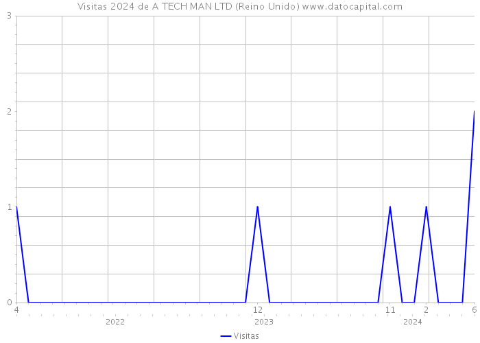 Visitas 2024 de A TECH MAN LTD (Reino Unido) 