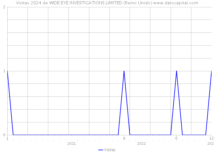 Visitas 2024 de WIDE EYE INVESTIGATIONS LIMITED (Reino Unido) 