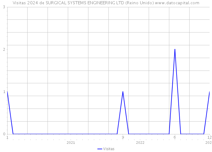 Visitas 2024 de SURGICAL SYSTEMS ENGINEERING LTD (Reino Unido) 