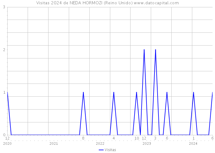 Visitas 2024 de NEDA HORMOZI (Reino Unido) 