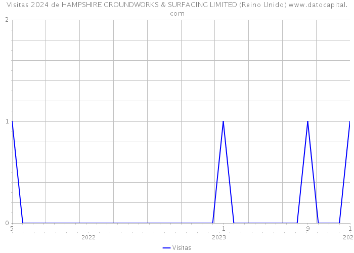 Visitas 2024 de HAMPSHIRE GROUNDWORKS & SURFACING LIMITED (Reino Unido) 