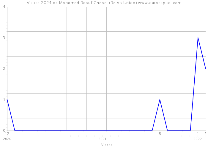 Visitas 2024 de Mohamed Raouf Chebel (Reino Unido) 