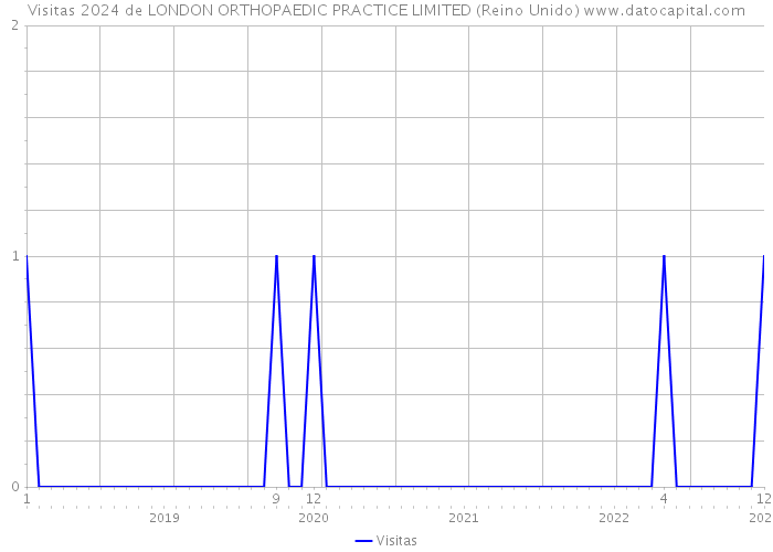 Visitas 2024 de LONDON ORTHOPAEDIC PRACTICE LIMITED (Reino Unido) 