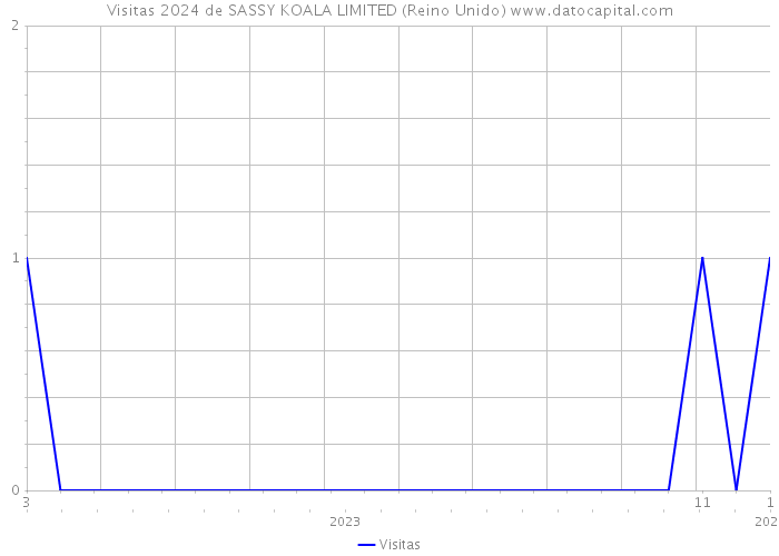 Visitas 2024 de SASSY KOALA LIMITED (Reino Unido) 