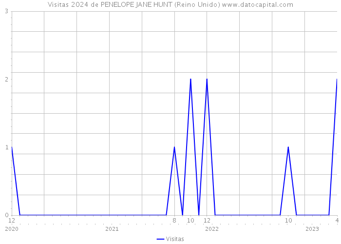 Visitas 2024 de PENELOPE JANE HUNT (Reino Unido) 