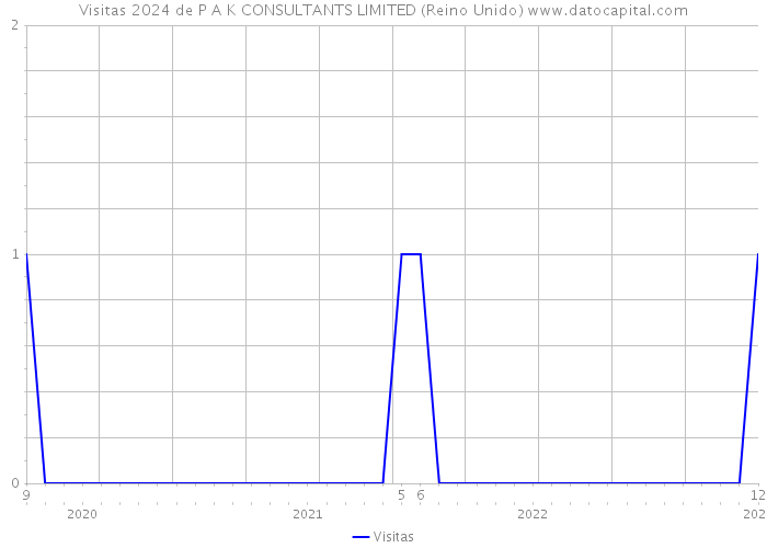 Visitas 2024 de P A K CONSULTANTS LIMITED (Reino Unido) 