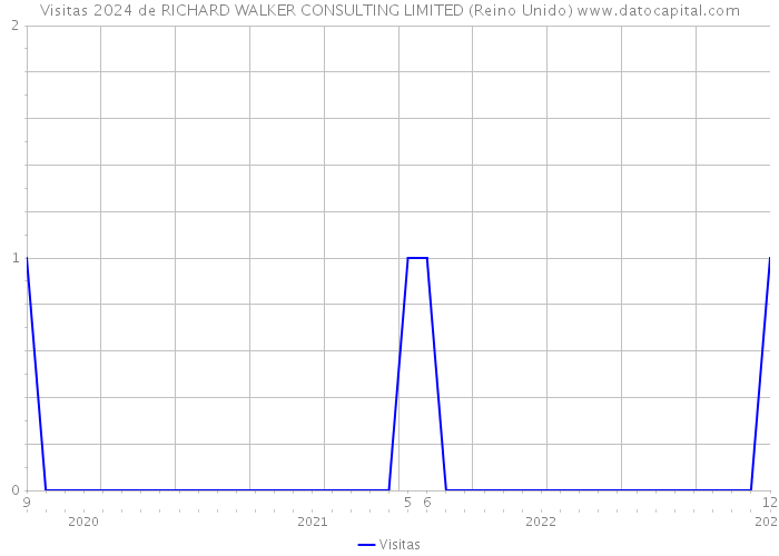 Visitas 2024 de RICHARD WALKER CONSULTING LIMITED (Reino Unido) 