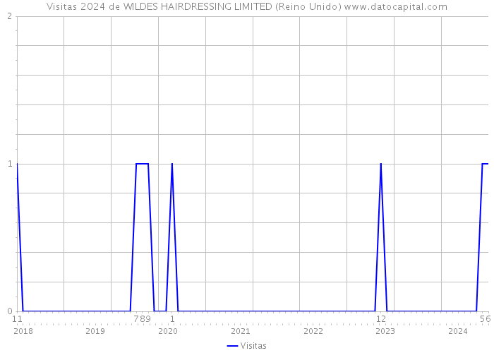 Visitas 2024 de WILDES HAIRDRESSING LIMITED (Reino Unido) 