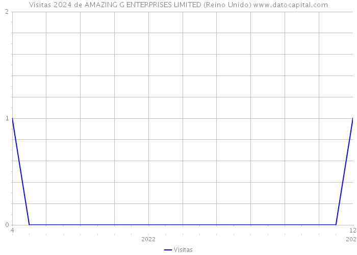 Visitas 2024 de AMAZING G ENTERPRISES LIMITED (Reino Unido) 