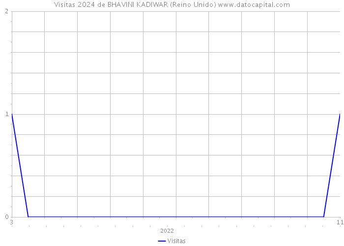 Visitas 2024 de BHAVINI KADIWAR (Reino Unido) 